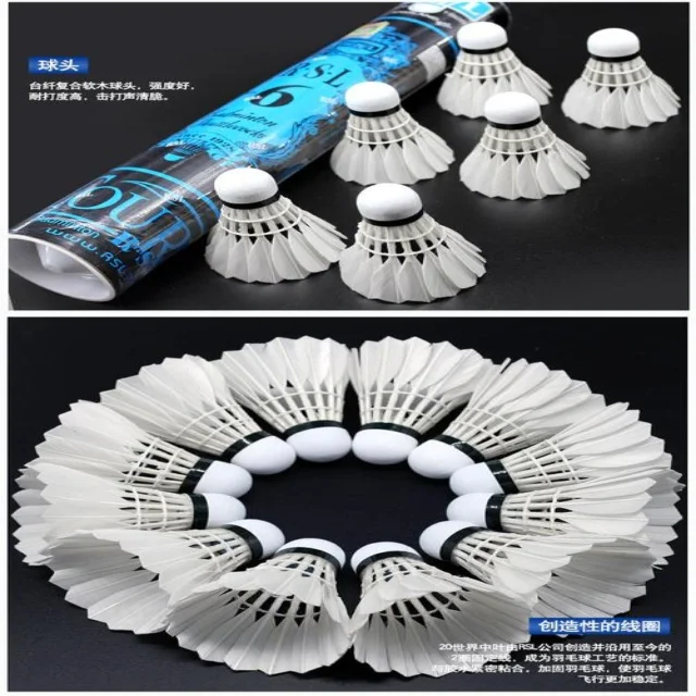 德约科维奇红土赛季备战动态